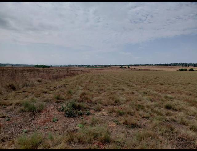 FARM FOR SALE IN BOSCHFONTEIN AH